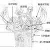 光る縄文土器を作る (後編)