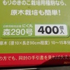 椎茸の榾木を作る　稲わらを被せて