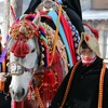 【祭り】チャグチャグ馬っこ元日参拝2019