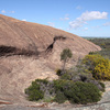 オーストラリアでユスリカ採集 –  Collecte de Chironomes en Australie