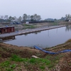 小山養魚センター（栃木県小山）