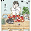 占い日本茶カフェ「迷い猫」はお茶の世界に浸れます
