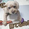 私を大きく変えた存在