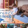 今度は中生代だッ！／『リアルサイズ古生物図鑑 中生代編』