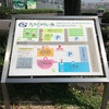 新スタイル！ぴったんCoサークルは＼独身男女の出逢い場／お茶の産地牧之原市に’あるグリンピア牧之原でお茶摘み体験中♪