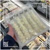 🚩外食日記(1890)    宮崎ランチ   「ハピネス恒久店」②より、【エビフライ7L🦐(65g×5尾)】‼️🌐宮崎市恒久🌐