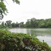 善福寺公園_上の池（東京都杉並区）