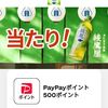 2025/5/25まで！綾鷹を購入すると綾鷹屋グッズやPayPayポイントが最大500ポイント当たるかも！