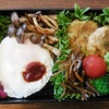 HAKOYA メンズ一段ランチ 800ml 弁当箱　第七十六弾!　目玉焼き・海苔おかか弁当　&　ブレーカーが落ちた!