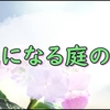 【雑記】雨がもたらした緑と少し先のお庭計画と。