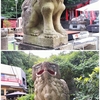 牛　～　徳島夏詣　眉山天神社　～