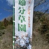 小鹿野の節分草園（埼玉県秩父郡）