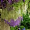 こんな美しい季節ってあったんだねって／都立神代植物公園にて