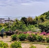 寄島の海が見える紫陽花スポットが見ごろ♪6/16（日）は朝市も！