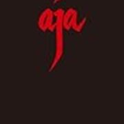 【激レア】スティ－リ－・ダン Ａｊａ作曲術と作詞法 スティーリー・ダン Aja作曲術と作詞法 | ドン・ブライト