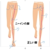膝の裏が痛い。ニーインとは