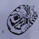 fanctanの日記