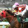 競馬初心者必見☆馬券予想🔥〜阪急杯〜混戦の非根幹重賞！
