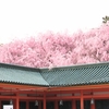 川端康成の『古都』巡り・四季折々の風景が広がる平安神宮神苑