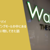 【旅行記】ドバイ 巨大なドバイモールの中にあるスーパーで買い物してきた
