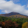 紅葉散策：長野のもみじ湖（箕輪ダム）2019.11.8