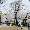 春