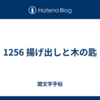 1256 揚げ出しと木の匙