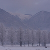 雪景色の朝です