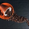 コーヒーの魅惑的な世界：知られざる雑学と至福の瞬間