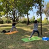 Park Yoga@ベンジャキティ公園