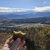 11月12月山歩きまとめ　山登りと温泉とご飯