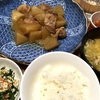 塩ちゃんこ鍋２・大根と鶏肉の煮物