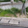 実家の捨て活⑰
