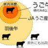 羽後牛とは