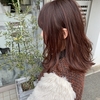 春先取り、ヘアカラーの話し☆