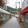 山口県～「秋芳洞」