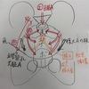 鍼灸の授業記録~20191203~