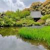 長岳寺 放生池（奈良県天理）