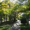 龍田川の遊歩道