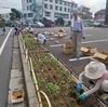 「なかよし花壇」の草花が咲き誇っている