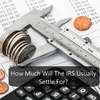 What is the IRS's Average Settlement Price?
