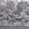 徳島大雪