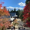 【モデルコース】高山寺～西明寺～神護寺を紅葉ハイキング！高雄の自然満喫コース