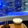 【おでかけ】水族館とビール