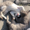 古着と生きる。