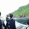 40頭オーバーのイルカの群れ【御蔵島】