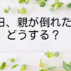 明日、親が倒れたらどうする？