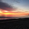 カリフォルニア6日目！