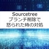 【Sourcetree】ブランチ削除で怒られた時の対処