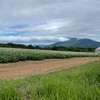 北海道ゴルフ編２日目